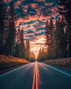 an empty road with trees on both sides and the sun going down in the distance