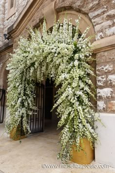 white flowers are growing on the outside of a building