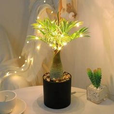 a small potted plant with lights on it sitting on a table next to a cup and saucer