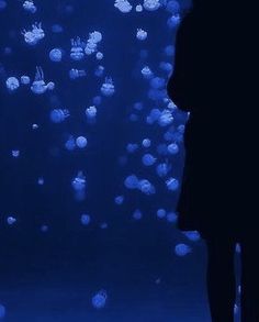 the silhouette of a person standing in front of a wall with jellyfish on it