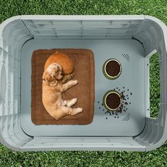 a dog laying on top of a mat in the grass next to two bowls of food