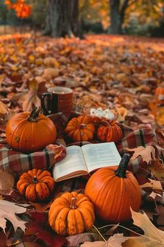 pumpkins and an open book on a blanket in the middle of leaves with fall foliage around them