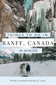 two dogs pulling a sled down a snow covered road with the words things to do in banff, canada in winter