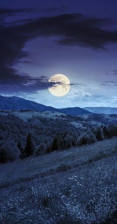 the full moon is setting over a mountain range with trees and grass in the foreground