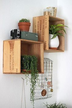 two wooden shelves with plants and books on them