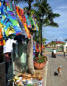 there is a dog that is walking down the street next to some cloths and other items