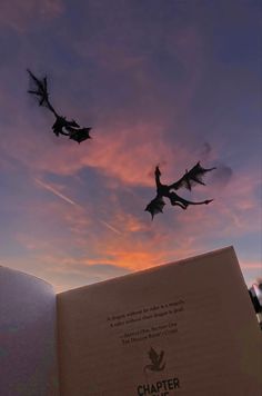 Dragons, sunset sky, book - fourth wing Skull Pizza, Wings Book, Wings Wallpaper, Zestaw Ikon, Book Wallpaper, Dragon Wings, House Of Dragons