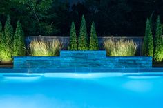 an empty swimming pool surrounded by trees and bushes at night with lights on the side