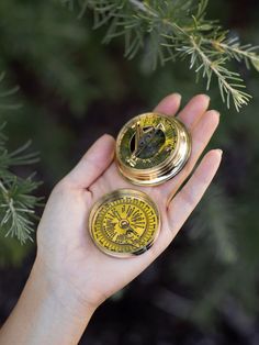 a person holding two compasss in their hand next to a pine tree with green needles