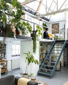 a living room filled with furniture and lots of plants on top of the shelves next to a stair case