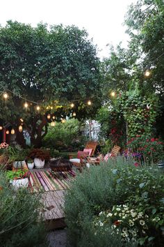 an outdoor patio with lots of plants and lights strung from the trees overhanging it