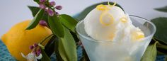 a glass filled with ice cream next to some lemons and green leafy branches