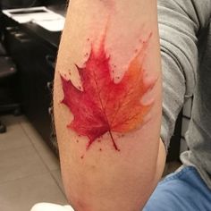 a red and orange maple leaf on the arm