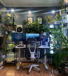 an office with plants and computers on the desk