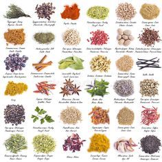 various spices and herbs on a white background