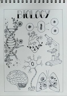 a book with drawings on it that says biology