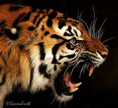 a tiger with its mouth open and it's teeth wide open in the dark