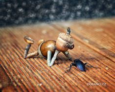 a bug crawling on top of a wooden floor next to an insect's head