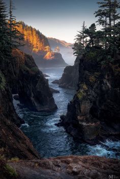 the ocean is surrounded by rocky cliffs and pine trees in the distance, with fog hanging over them