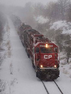 a train traveling down tracks in the snow with trees and bushes on either side of it