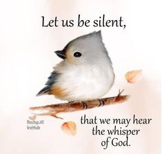 a bird sitting on top of a branch with a quote below it that says let us be silent, that we may hear the whisper of god