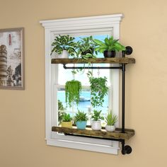 a window sill filled with potted plants on top of wooden shelves