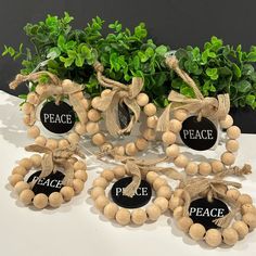 four wooden beads tied with jumbo - ball string are displayed in front of a potted plant