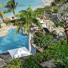 an outdoor swimming pool surrounded by palm trees and other greenery next to the ocean