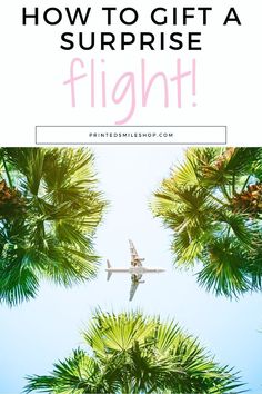 an airplane flying over palm trees with the words how to gift a surprise flight on it