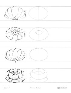 how to draw flowers step by step