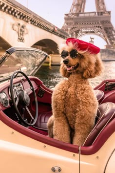 a poodle sitting in the driver's seat of a vintage car near the eiffel tower