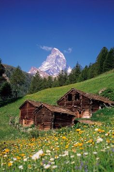 two old wooden buildings in the middle of a field with wildflowers