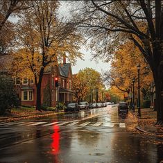 a wet street with cars parked on the side and trees lining the road in autumn