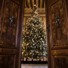 a large christmas tree is in the middle of an open door with lights on it