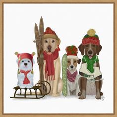 three dogs wearing hats and scarfs are sitting on a sleigh, one is holding a surfboard