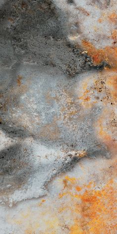 an orange and white substance is on the ground with some brown stuff in it's foreground