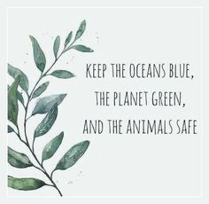 a green leafy plant with the words keep the oceans blue, the planet green and the animals safe