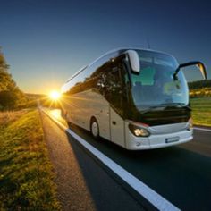 Mercedes Bus, شرم الشيخ, Chartered Bus, Asphalt Road, Bus Tickets, Bus Travel, Rural Landscape, Group Travel, Transportation Services