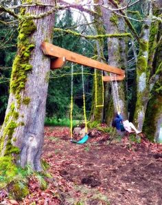 two people are sitting on swings in the woods near some trees and mossy branches