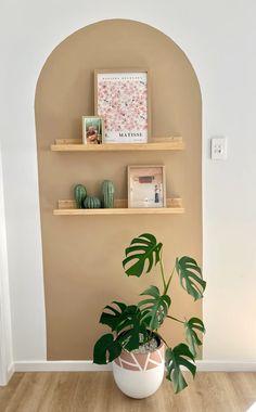 a potted plant sitting on top of a wooden table next to a wall mounted shelf