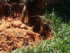 a pile of dirt sitting in the middle of some grass