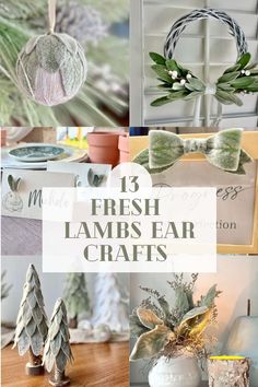 fresh lambs ear crafts with text overlay that reads 13 fresh lambs ear crafts