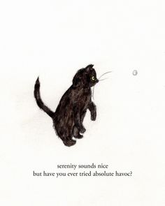 a black cat sitting on top of a white wall next to a quote that reads, serenity sounds nice but have you ever tried absolute havoc?