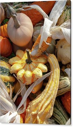 an assortment of squash and gourds are piled up in the pile, with plastic bags around them