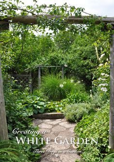 the cover of creating a white garden, featuring an arbor and stone path leading through lush green foliage