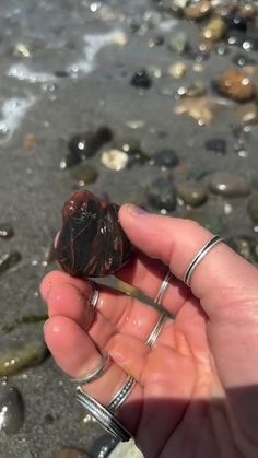 a person holding something in their hand on the beach with rocks and water behind them