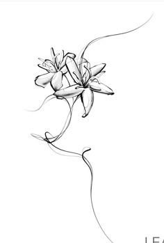 a black and white drawing of flowers with the words leap on it's side