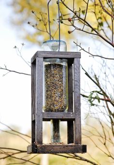 a bird feeder hanging from a tree branch