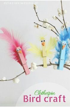 three birds made out of popsicle sticks on a branch with cotton flowers and cotton balls