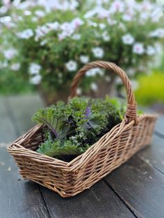 a basket filled with green plants on top of a wooden table